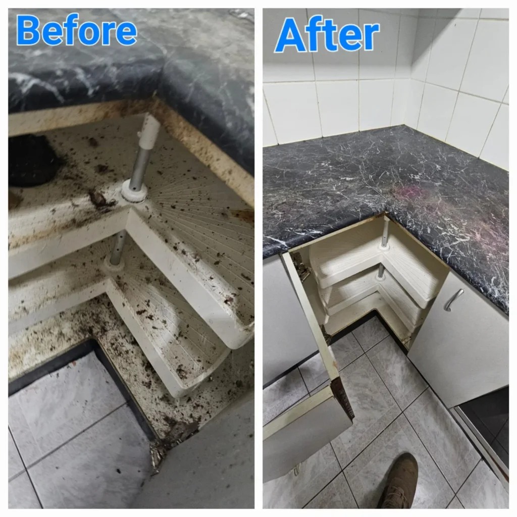 WhatsApp Image 2026-03-20 at 12.42.22 PM